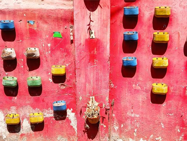 Colorful planters hanging on a red wall in India