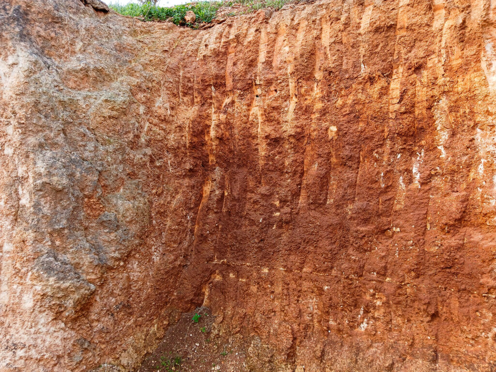 Quarry wall in Puglia, Italy